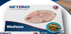Serrucho - Netuno - Wahoo Steaks, 6-8 oz each -10 lbs